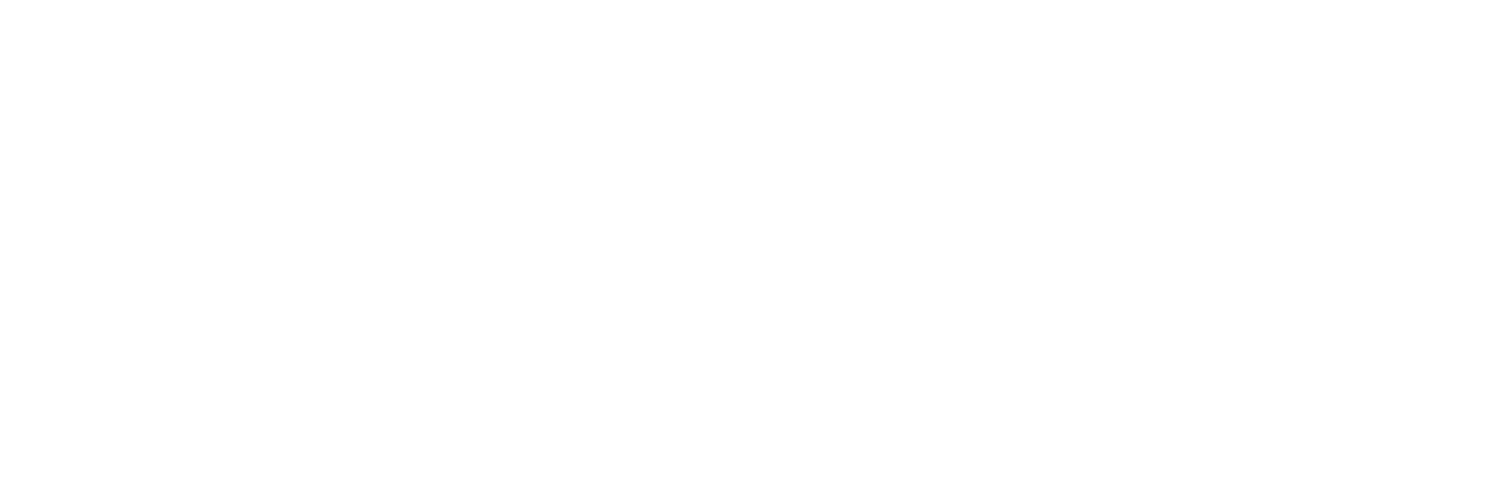 UPV